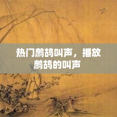 热门鹧鸪叫声，播放鹧鸪的叫声 