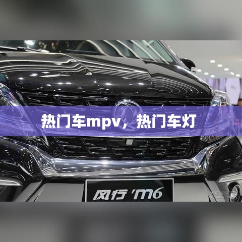 惊弦之鸟 第3页
