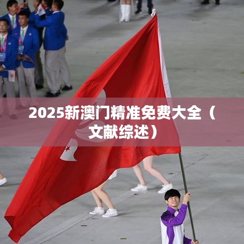 2025新澳门精准免费大全（文献综述）