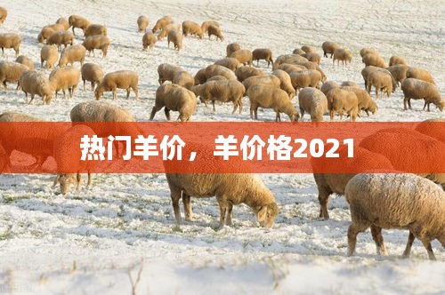 热门羊价，羊价格2021 