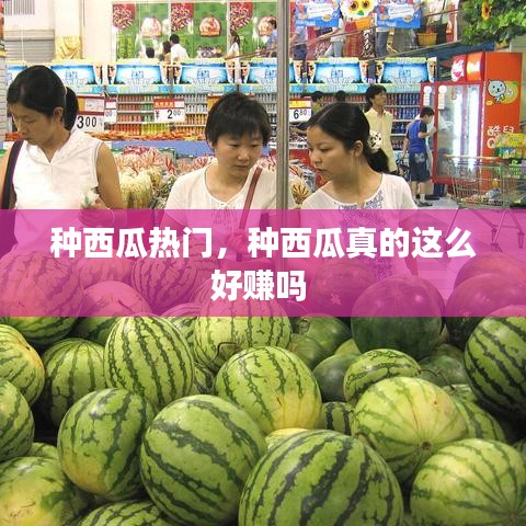 沉厚寡言 第3页