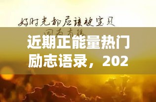 近期正能量热门励志语录，2021年正能量句子励志短句子 