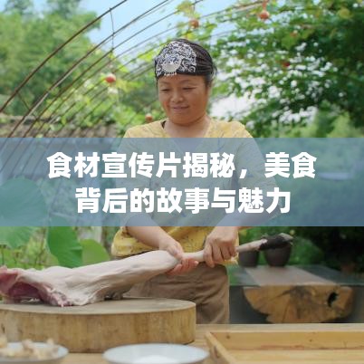 食材宣传片揭秘，美食背后的故事与魅力