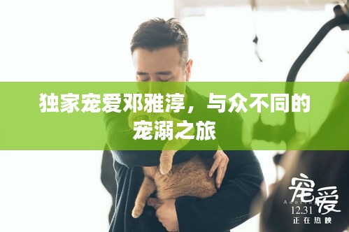独家宠爱邓雅淳，与众不同的宠溺之旅