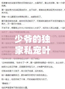少爷的独家私宠叶子墨：小说少爷的独家私宠 