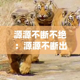源源不断不绝：源源不断出处 