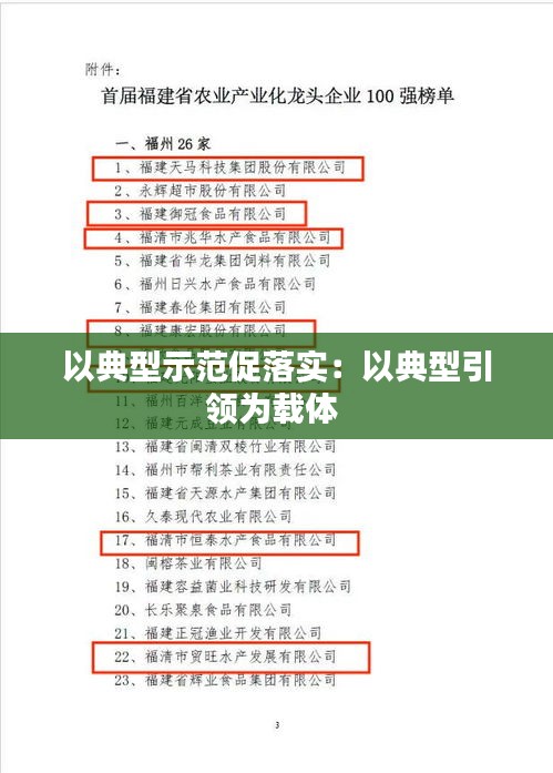 以典型示范促落实：以典型引领为载体 