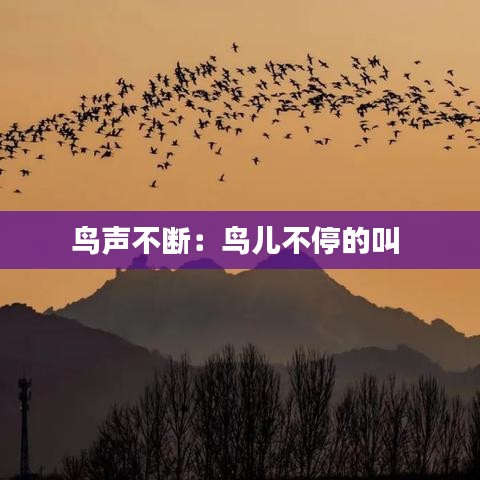 将错就错 第2页