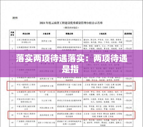 落实两项待遇落实：两项待遇是指 