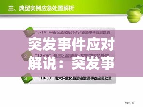 突发事件应对解说：突发事件的应对处理 