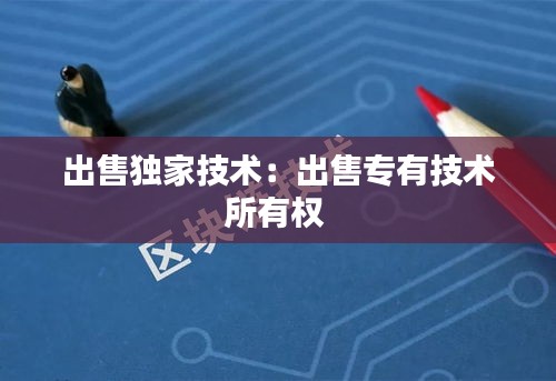 出售独家技术：出售专有技术所有权 