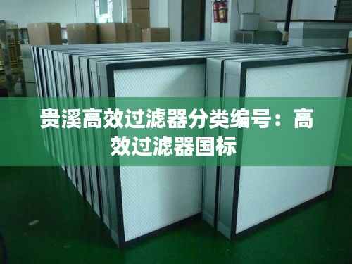贵溪高效过滤器分类编号：高效过滤器国标 