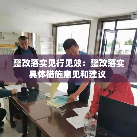 整改落实见行见效：整改落实具体措施意见和建议 