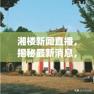 湘楼新闻直播，揭秘最新消息，实时掌握今日动态