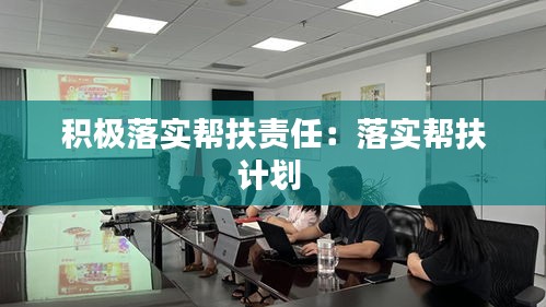 积极落实帮扶责任：落实帮扶计划 