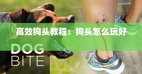 高效狗头教程：狗头怎么玩好 