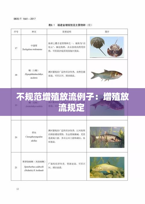 飞蛾扑火 第2页