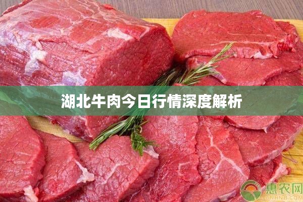 湖北牛肉今日行情深度解析