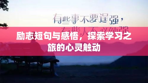 励志短句与感悟，探索学习之旅的心灵触动