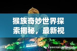 猴族奇妙世界探索揭秘，最新视频展现猴趣无限