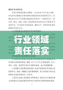 行业领域责任落实：行业领域整治实施方案 