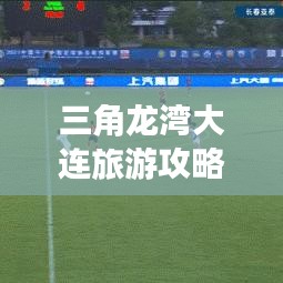 三角龙湾大连旅游攻略揭秘，畅游绝美风光，尽享绝佳体验！