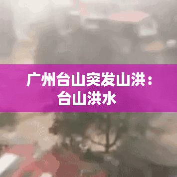 广州台山突发山洪：台山洪水 