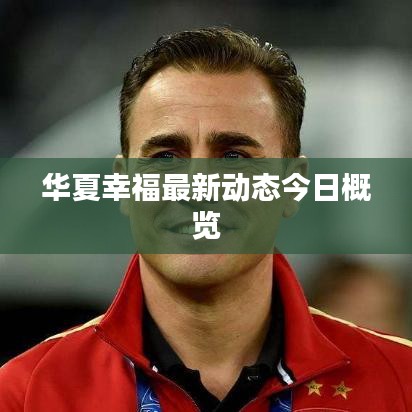 华夏幸福最新动态今日概览