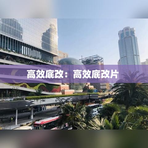 高效底改：高效底改片 