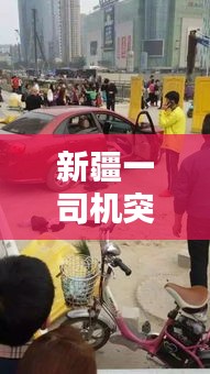 澹泊明志 第2页