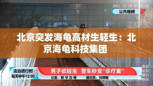 北京突发海龟高材生轻生：北京海龟科技集团 