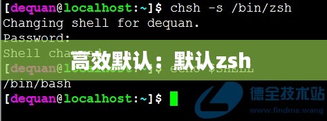 高效默认：默认zsh 