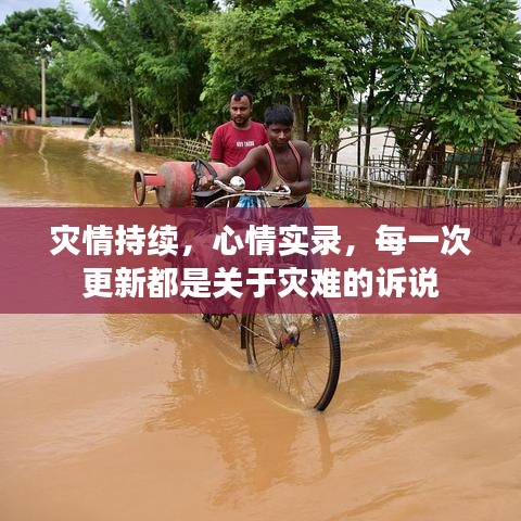灾情持续，心情实录，每一次更新都是关于灾难的诉说