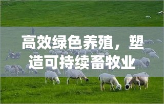 高效绿色养殖，塑造可持续畜牧业未来