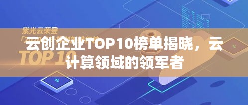 云创企业TOP10榜单揭晓，云计算领域的领军者