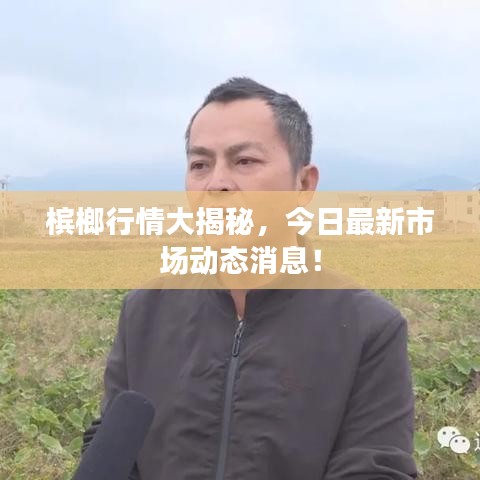 凤凰于飞 第2页