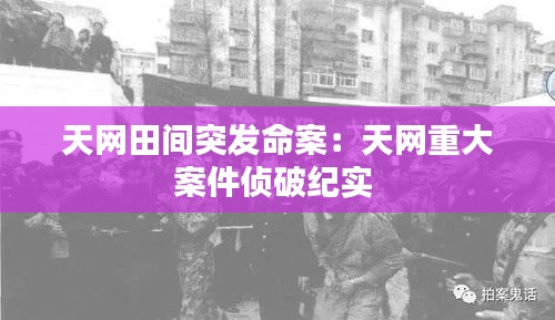 天网田间突发命案：天网重大案件侦破纪实 