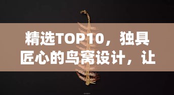 精选TOP10，独具匠心的鸟窝设计，让你大开眼界！