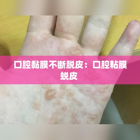 尊道贵德 第2页