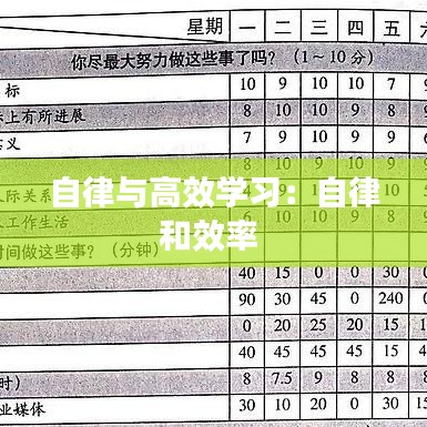 自律与高效学习：自律和效率 