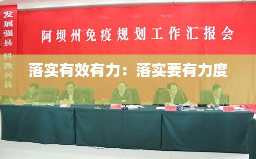 落实有效有力：落实要有力度 