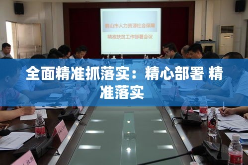 全面精准抓落实：精心部署 精准落实 