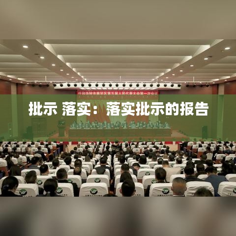 批示 落实：落实批示的报告 
