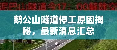 鹅公山隧道停工原因揭秘，最新消息汇总