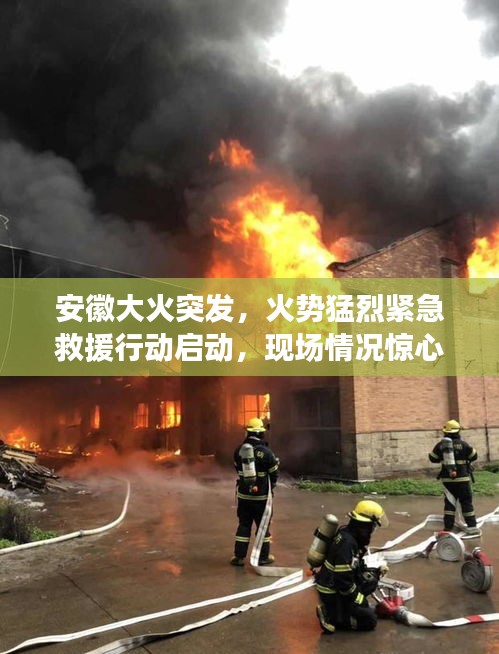 虫书鸟篆 第2页