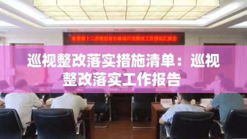 巡视整改落实措施清单：巡视整改落实工作报告 
