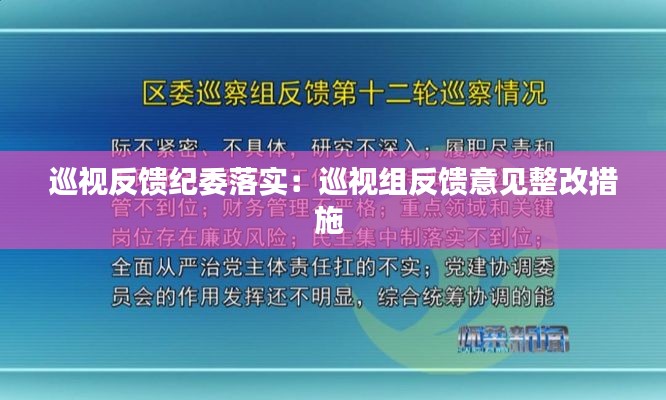 巡视反馈纪委落实：巡视组反馈意见整改措施 
