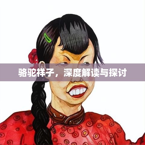 骆驼祥子，深度解读与探讨