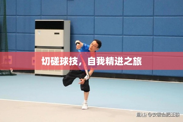 贵极人臣 第2页