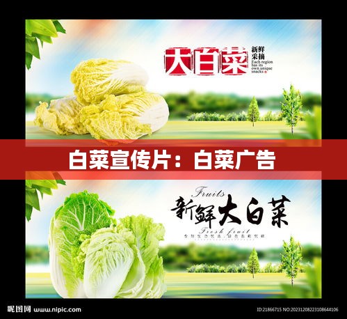 白菜宣传片：白菜广告 